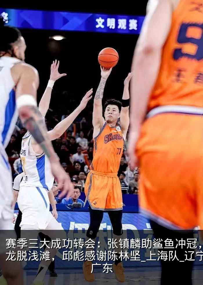 赛季三大成功转会：张镇麟助鲨鱼冲冠，徐昕龙脱浅滩，邱彪感谢陈林坚_上海队_辽宁_广东